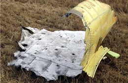 MH17 bị bắn hạ bởi tên lửa mang đầu đạn nổ mảnh?