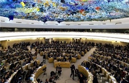 Việt Nam kêu gọi tôn trọng nhân đạo, nhân quyền tại Palestine 