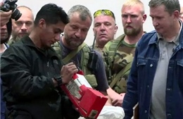 Điều tra viên Hà Lan: Hộp đen MH17 chưa bị can thiệp 