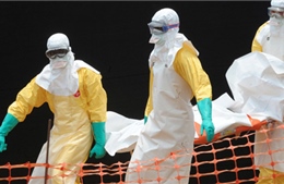 Hàng không châu Phi đình chỉ bay vì virus Ebola 
