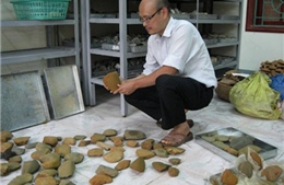 Phát hiện 24 di tích khảo cổ thời tiền sử tại Gia Lai 