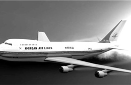 Bí ẩn vụ rơi máy bay MH17- Kỳ 2