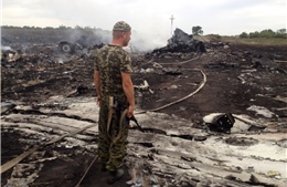LHQ yêu cầu dừng ngay giao tranh ở nơi MH17 rơi