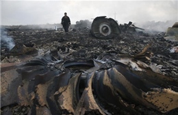 Chuyên gia Đức chỉ thủ phạm bắn MH17