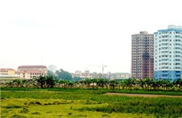 Phải thực hiện đánh giá tài nguyên đất hàng năm