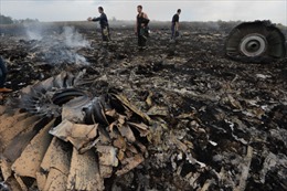 Chuyên gia quốc tế đến hiện trường máy bay MH17 