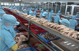 Đẩy nhanh xúc tiến thương mại hàng thủy, hải sản Việt Nam