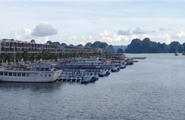 Cảng du thuyền Tuần Châu lập Kỷ lục Guinness Việt Nam