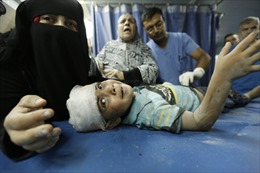Quốc tế nỗ lực tìm giải pháp cho xung đột Gaza