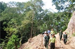 Đoàn giám sát Ban Chỉ đạo Tây Nguyên làm việc với các đơn vị quản lý bảo vệ rừng tại Kon Tum 