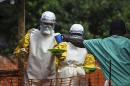 Hơn 930 người tử vong do dịch Ebola 