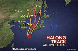 Nhật Bản hủy hàng trăm chuyến bay vì bão Halong