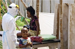 Tây Phi: Nguy cơ chết vì đói trước Ebola