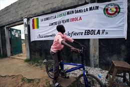 Các nước khẩn trương đối phó dịch Ebola