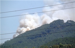 Liên tiếp xảy ra cháy rừng tại Nghệ An