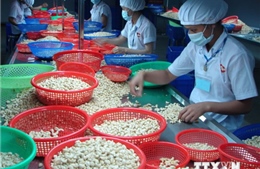 Việt Nam dự triển lãm thực phẩm quốc tế tại Hong Kong 