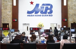 Yêu cầu 6 ngân hàng chấn chỉnh hoạt động tại chi nhánh nước ngoài 