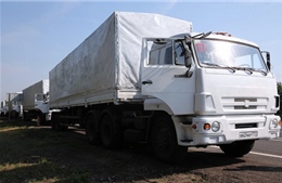 Ukraine công nhận đoàn xe Nga chở hàng cứu trợ