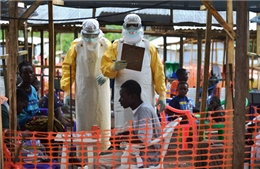 Kenya cấm du khách từ 3 nước có dịch Ebola 