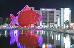Xác lập kỷ lục đèn lồng cá chép lớn nhất Việt Nam