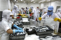 Nga bỏ lệnh tạm ngừng nhập khẩu thủy sản Việt Nam