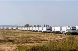 Ukraine đảm bảo an ninh cho đoàn xe cứu trợ 