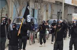 Chính phủ Syria và phe đối lập hoà giải để chống IS