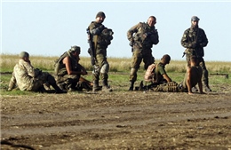 Nga đề nghị LHQ yêu cầu ngừng bắn tại Đông Ukraine 