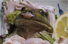 Rợn người món sashimi &#39;ếch còn giãy&#39; ở Nhật