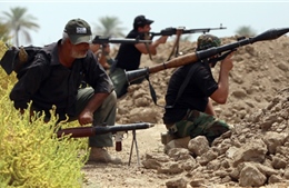 Iraq, Iran kêu gọi quốc tế hợp tác chống IS