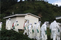 Dịch Ebola gây thiệt hại lớn về kinh tế