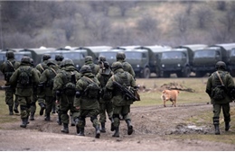 Nga phủ nhận binh sĩ cố tình xâm nhập biên giới Ukraine