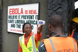 Dịch Ebola đe dọa nghiêm trọng kinh tế châu Phi 