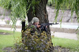 Lực lượng ở Đông Ukraine yêu cầu hưởng quy chế đặc biệt
