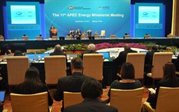 APEC hướng tới đa dạng hóa nguồn năng lượng