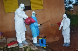 Thêm một bác sĩ Mỹ nhiễm virus Ebola