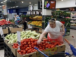 Bị Nga cấm cửa nông sản, EU thiệt 5 tỷ euro 