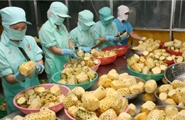 Việt Nam trước cơ hội lớn xuất khẩu nông sản sang Nga