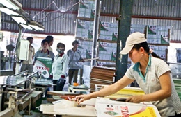 Nghệ An: 35 doanh nghiệp bị khởi kiện