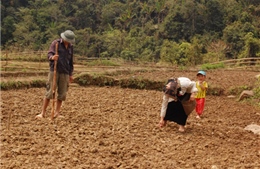 Bảo đảm đất ở, đất sản xuất cho đồng bào