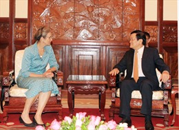 Chủ tịch nước Trương Tấn Sang tiếp các đại sứ trình quốc thư