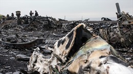 Bí ẩn quanh kết luận &#39;MH17 bị nhiều vật thể tốc độ cao đâm thủng&#39;