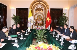 Thông cáo chung Nhóm Công tác Hỗn hợp Việt Nam- Tòa thánh 