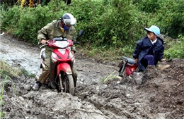 Lại xảy ra trượt lở đất ở Di Linh 