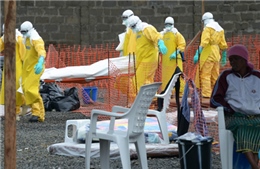 Virus Ebola có thể đẩy thế giới vào thảm họa