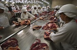 Brazil phá kỷ lục xuất khẩu thịt bò