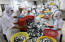 Việt Nam xuất khẩu cá hàng đầu sang Colombia