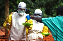 Nigeria tuyên bố xoá bỏ dịch Ebola 