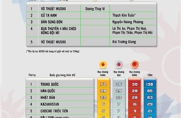 Thành tích của đoàn thể thao Việt Nam tại ASIAD 17