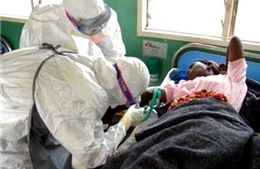 LHQ họp cấp cao về dịch Ebola 